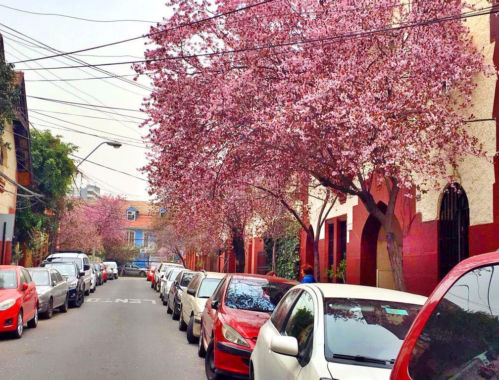 Tralkan B&B Santiago Exterior foto